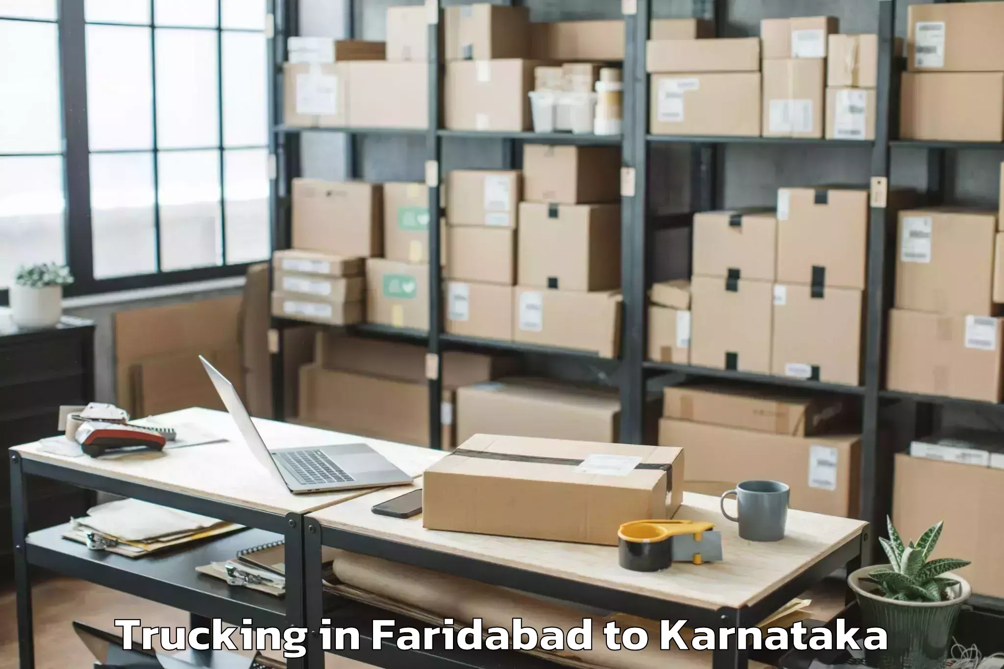 Affordable Faridabad to Panja Dakshin Kannad Trucking